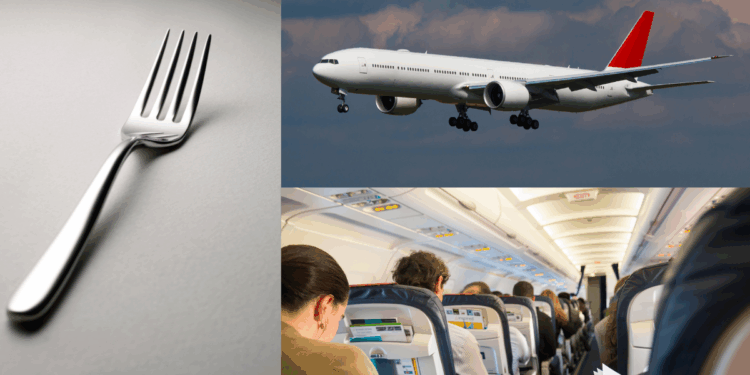 Fork Used as Weapon in Alleged Mid-Flight Attack on Teens