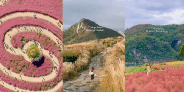 Six Hidden Gems to Experience South Korea’s Autumn Colors—Your Next Perfect Vacation