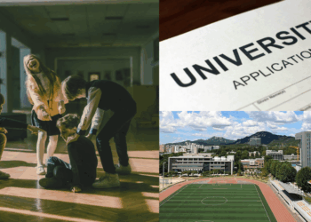 Bullying Has Consequences: South Korea’s Top Universities Reject Students with School Violence Records