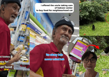 “Animals, you feed them one time, they recognize you”: S’pore Online Creator Meets Kind Uncle Who Cares for Stray Cats