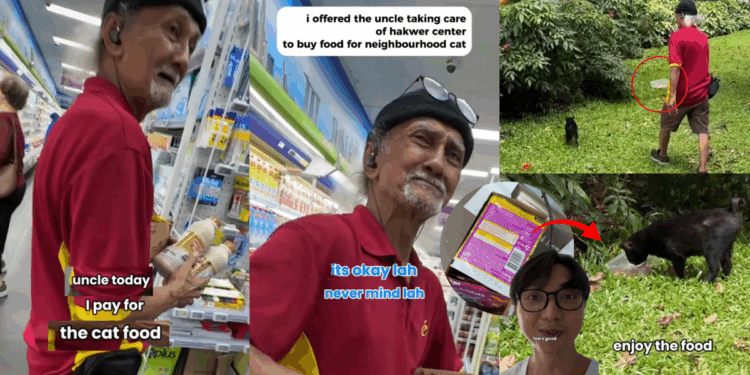 “Animals, you feed them one time, they recognize you”: S’pore Online Creator Meets Kind Uncle Who Cares for Stray Cats