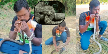 Man Brings Electrocuted Snake Back to Life Using Mouth-to-Mouth CPR