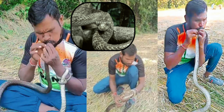 Man Brings Electrocuted Snake Back to Life Using Mouth-to-Mouth CPR