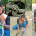 Man Brings Electrocuted Snake Back to Life Using Mouth-to-Mouth CPR