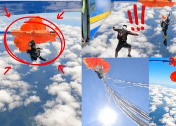 Skydiver Survives After Parachute Gets Tangled on Plane Tail Mid-Air