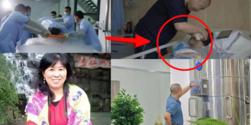 Man Freezes Late Wife but Starts New Romance, Stirring Public Curiosity