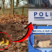 French Man Unearths Hidden Gold Treasure While Building Backyard Swimming Pool