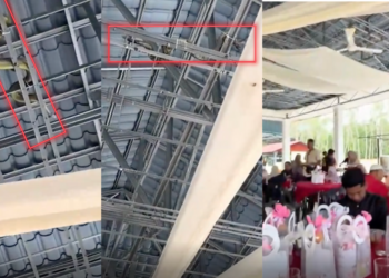 Wedding Guests Thought They Were Real Snakes—But the Truth Was Much Less Scary