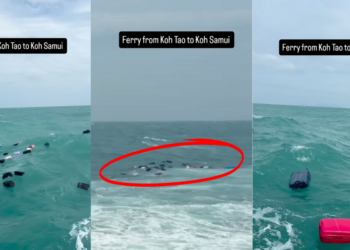 Tourists Lose Luggage to Rough Seas on Ferry Route of Thailand