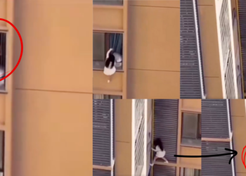 Woman Hangs From 10th Floor to Escape Boyfriend’s Wife