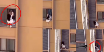 Woman Hangs From 10th Floor to Escape Boyfriend’s Wife