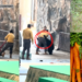 Smell of Carrots and Apples Triggers Black Bear Attack During Hangzhou Safari Park Show