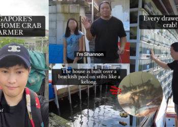 Singapore Man Builds ‘Crab Condo’ Farm At Home, Revives Kampong Sharing Spirit