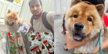 Migrant Worker Who Rescued Kiko Was Longtime Family Friend, Says Owner After Frantic 2-Day Search