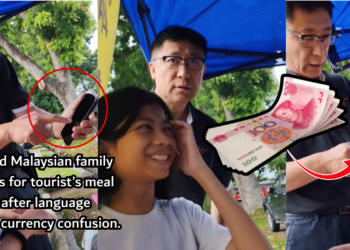 Malaysian Family Steps in After Tourist Struggles to Pay for Nasi Lemak