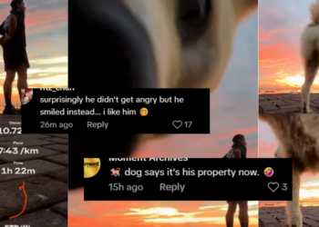 Dog Interrupts Peaceful Sunset Video After Mistaking Phone for Perfect Toilet Spot