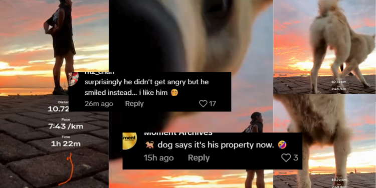 Dog Interrupts Peaceful Sunset Video After Mistaking Phone for Perfect Toilet Spot