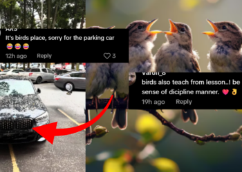 BMW Parked Across Two Spaces Draws Attention After Unexpected Surprise From Above