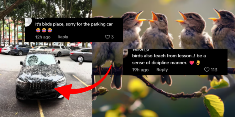 BMW Parked Across Two Spaces Draws Attention After Unexpected Surprise From Above