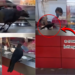 Crow Spotted Picking Lottery Numbers Sparks Curiosity Among Onlookers Online