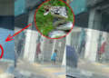 A Man in Terengganu Recently Used a Giant Python to Scare Away Foreign Refugees