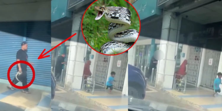 A Man in Terengganu Recently Used a Giant Python to Scare Away Foreign Refugees