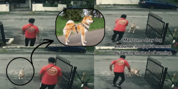 A Man’s Funny Dance Turns a Scary Dog Encounter into Pure Joy
