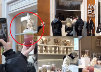 Shanghai Cafe Transforms Coffee Time with Cuddly Teddy Bears