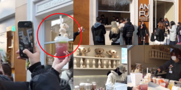 Shanghai Cafe Transforms Coffee Time with Cuddly Teddy Bears