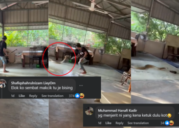 Man Swings at King Cobra With Machete as Screams Echo through Kedah Home