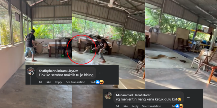 Man Swings at King Cobra With Machete as Screams Echo through Kedah Home