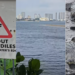 Warning Sign Says ‘Watch Out for Crocodiles’—And There’s One Right Below It