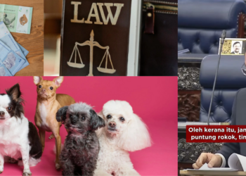 Pet Owners Face RM3,000 Fine for Not Cleaning Dog Poop—Malaysia’s New Law