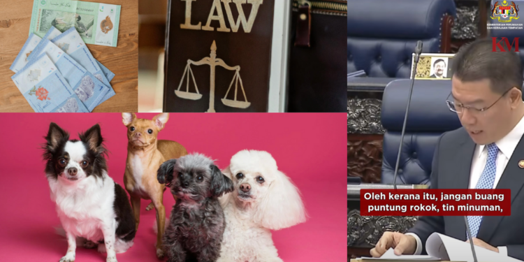 Pet Owners Face RM3,000 Fine for Not Cleaning Dog Poop—Malaysia’s New Law