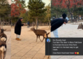 Malaysian Traveller Strange Encounter with a Deer in Japan.