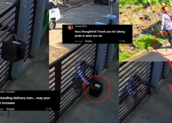 Delivery Driver Protects Package in Heartwarming Viral Video