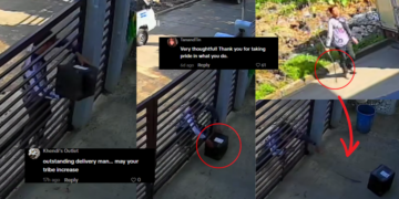 Delivery Driver Protects Package in Heartwarming Viral Video