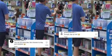 Calm Cat Manager Goes Viral After Patiently Facing a Very Talkative Store Customer