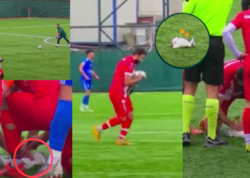 Istanbul Football Player Saves Seagull with CPR, Match Paused