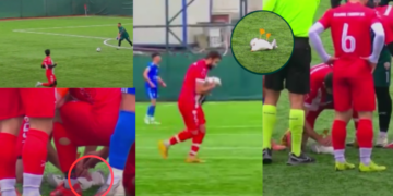 Istanbul Football Player Saves Seagull with CPR, Match Paused