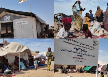 ‘We have nothing to eat’ – Aid shortages hit displaced people in Sudan’s Goz Alsalam camp