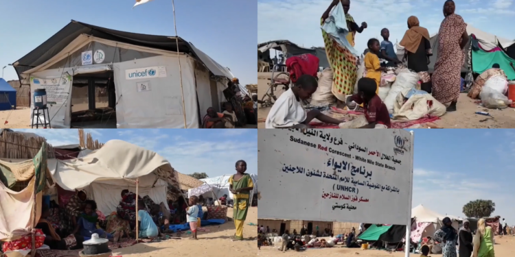 ‘We have nothing to eat’ – Aid shortages hit displaced people in Sudan’s Goz Alsalam camp