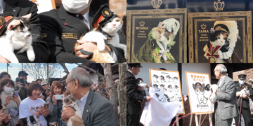 All aboard meow express! – Feline stationmasters get fans on track for Japan’s Cat Day