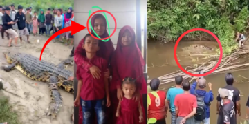 Crocodile Captured in Horror River Incident With Missing Mother’s Body