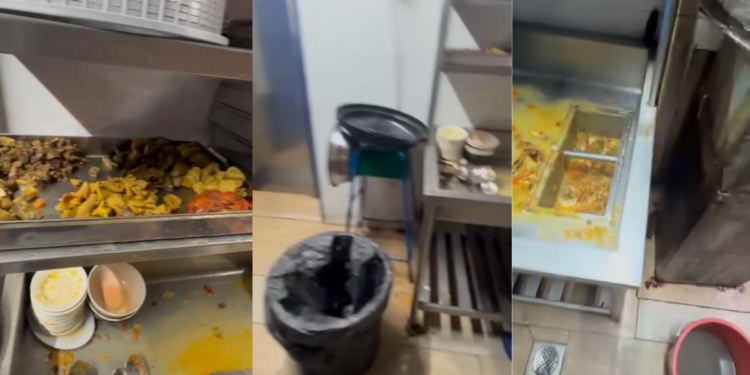 No License, Cockroaches, Reused Leftovers: Malaysian Mamak Stall’s Horrific Violations Exposed