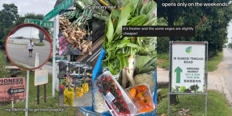 “Fresher Groceries”—Woman in Singapore Hikes 10km for Farm-fresh Produce