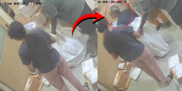 Woman Tries to Courier Father for Viral Reel, Shocking Bengaluru Incident