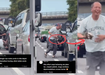 An Act of Kindness: Traffic Jam Pauses as Man Rescues Tiny Kitten From Under SUV