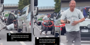 An Act of Kindness: Traffic Jam Pauses as Man Rescues Tiny Kitten From Under SUV