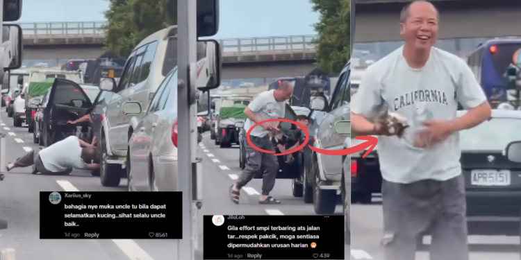 An Act of Kindness: Traffic Jam Pauses as Man Rescues Tiny Kitten From Under SUV